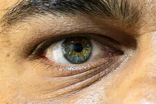 odporność organizmu